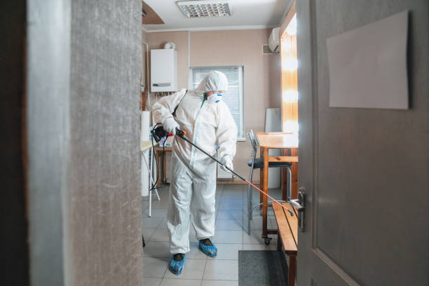 Kenmar, PA Mold Removal Company